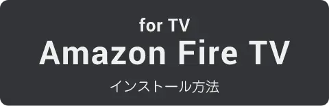 for TV Amazon Fire TVインストール方法